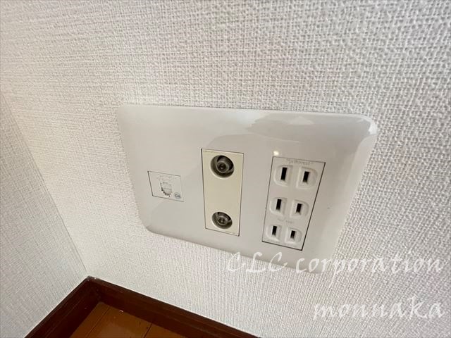 グリシーヌ   その他14