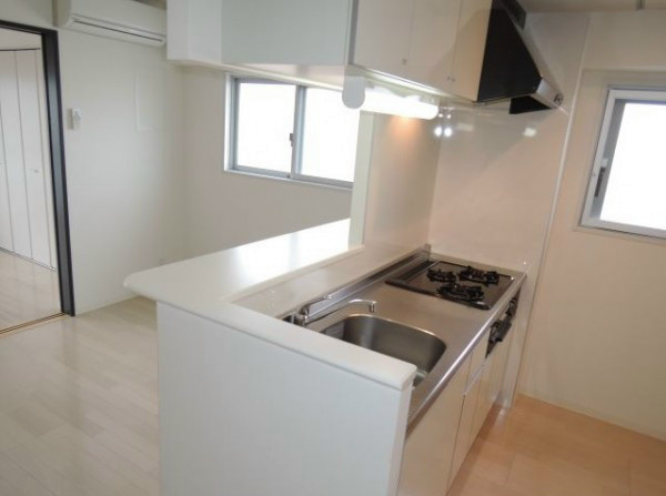 アウラデパリュール キッチン