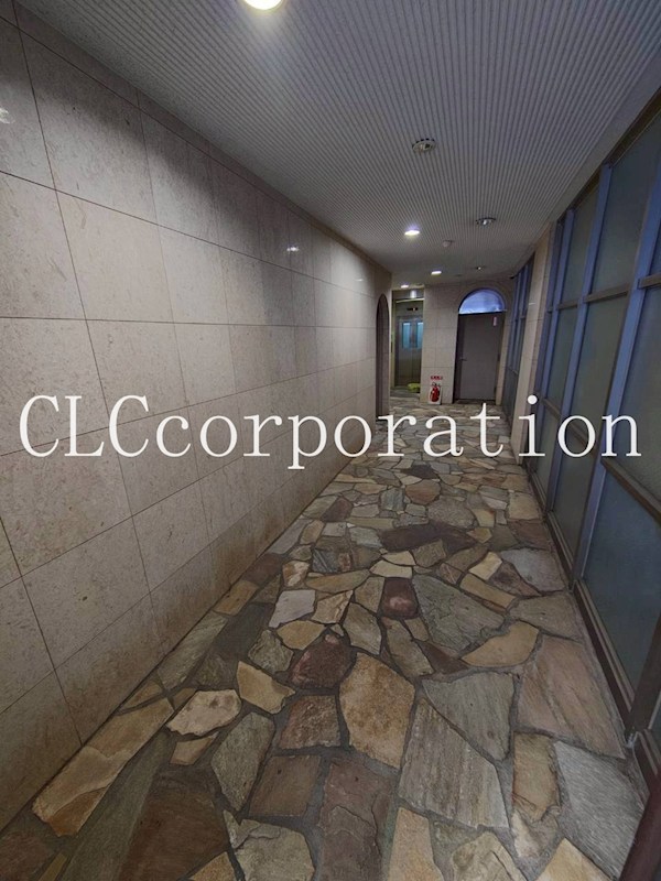 レイ・ローズビル その他2