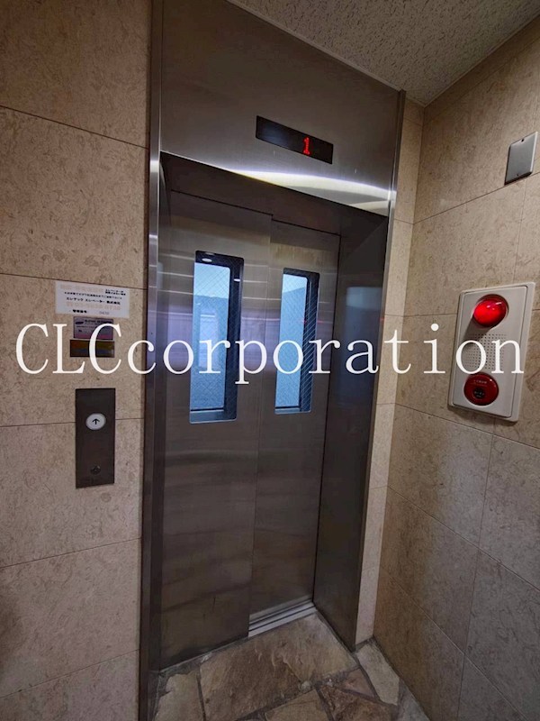 レイ・ローズビル その他9