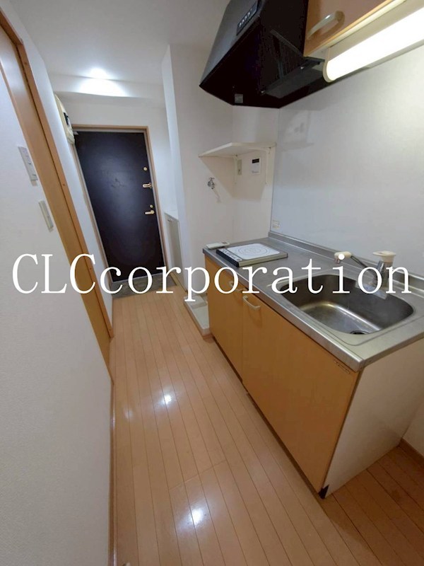 レイ・ローズビル その他13