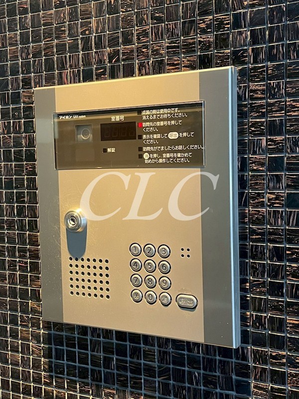 アウラデパリュール その他8