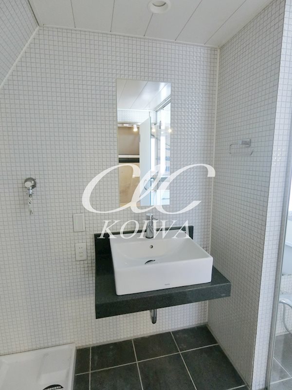 ダイチアパートメント南小岩 その他5