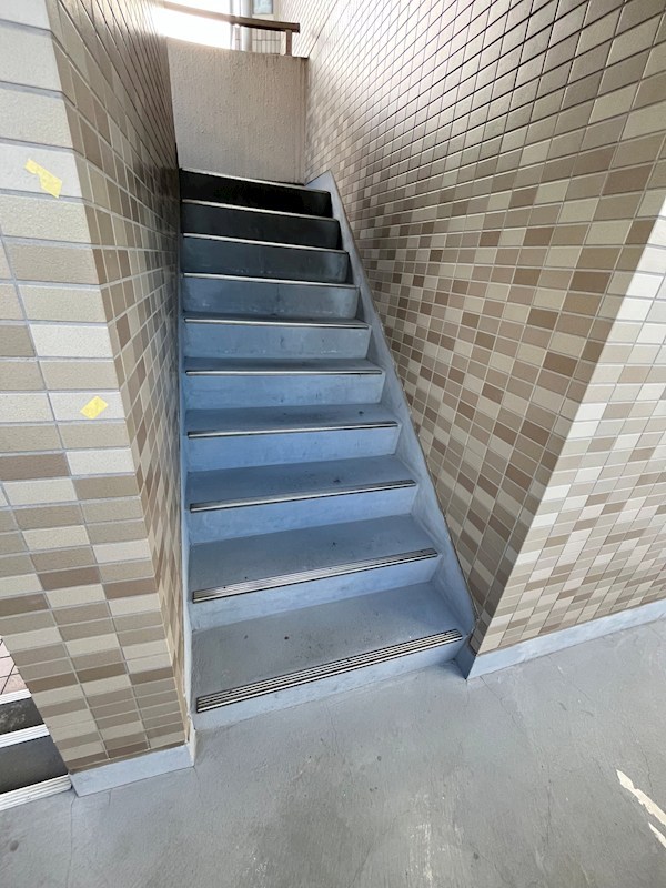 メゾン・ロワイヤル その他14