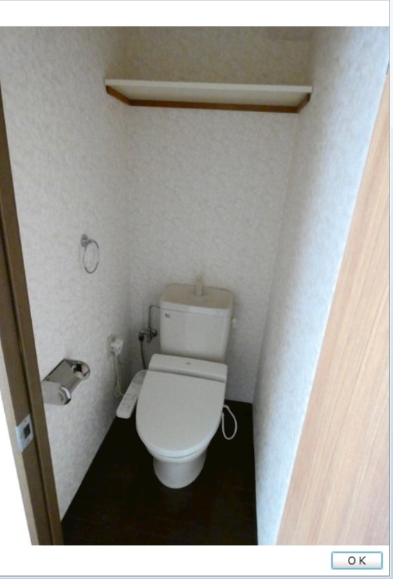 ベイ・ドルフィン   その他2