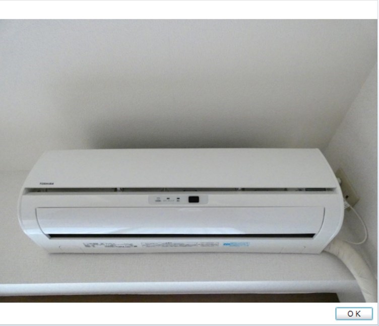 ベイ・ドルフィン   その他4