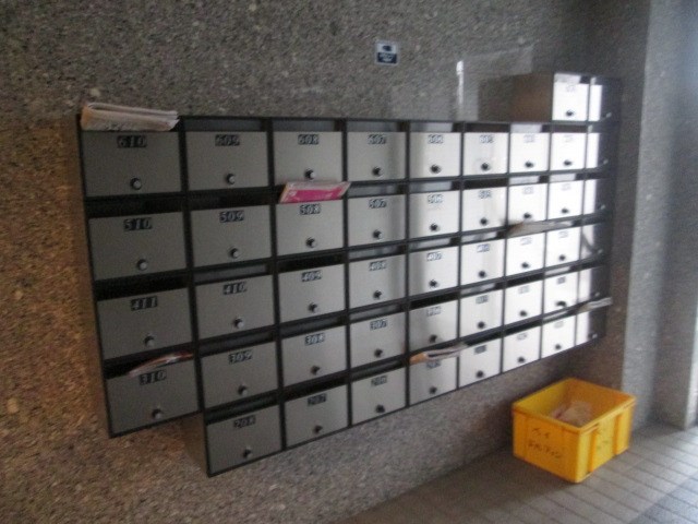 ベイ・ドルフィン   その他9