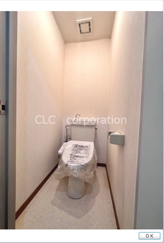 リブサンフラット その他1