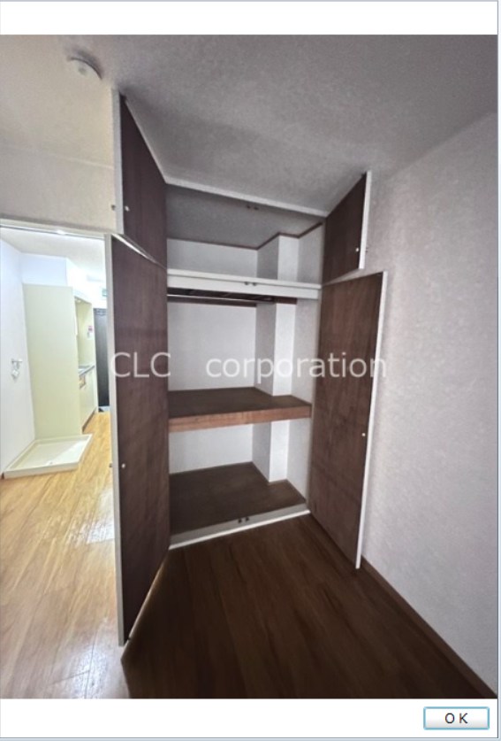 リブサンフラット その他2