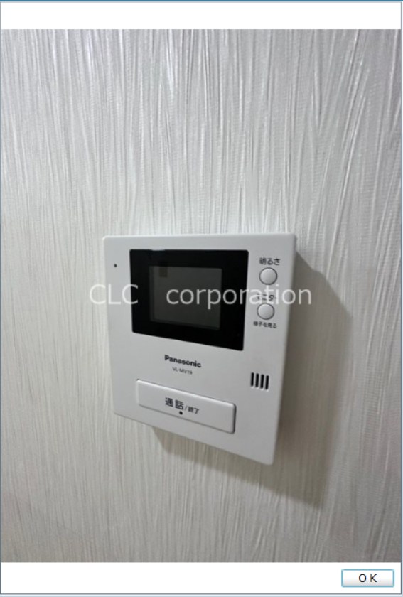 リブサンフラット その他3