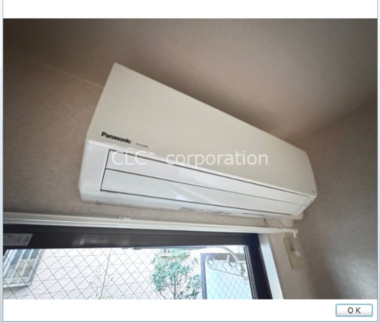 リブサンフラット その他4