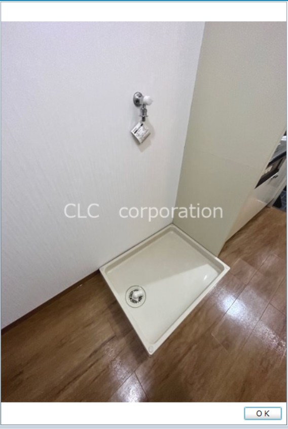 リブサンフラット その他5