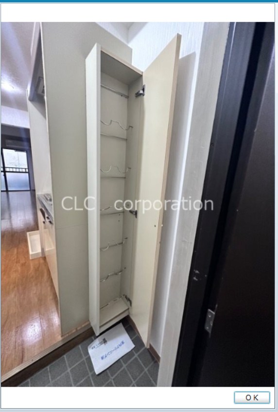 リブサンフラット その他9