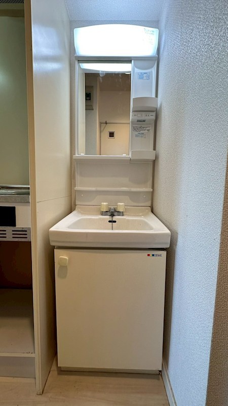 シャインドミール その他2