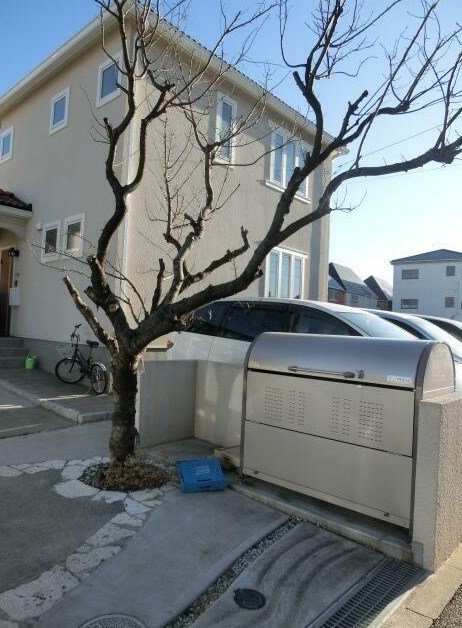 Dwell Garden その他9