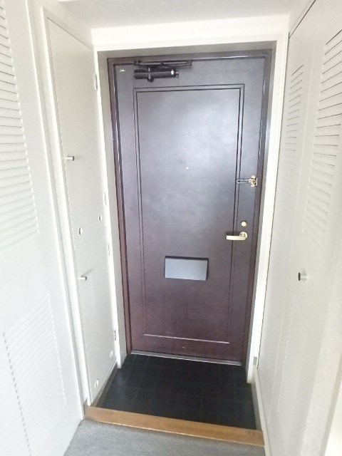 日神パレステージ西大島 玄関