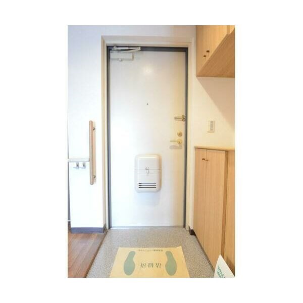 パークハイムMSK   玄関