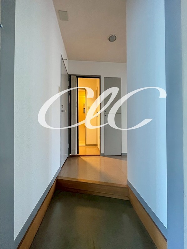 ＬＡＮＤ瑞江 玄関