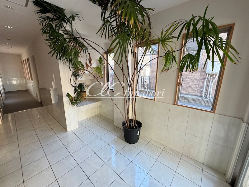 ラウンド・Ｍ その他9