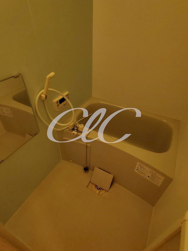 ワコーレ錦糸町マンション 風呂画像