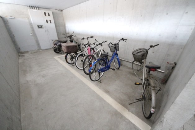 コライユ その他5