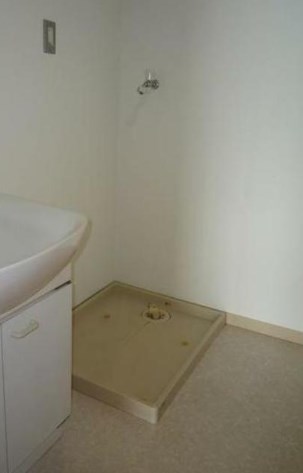 コライユ その他6