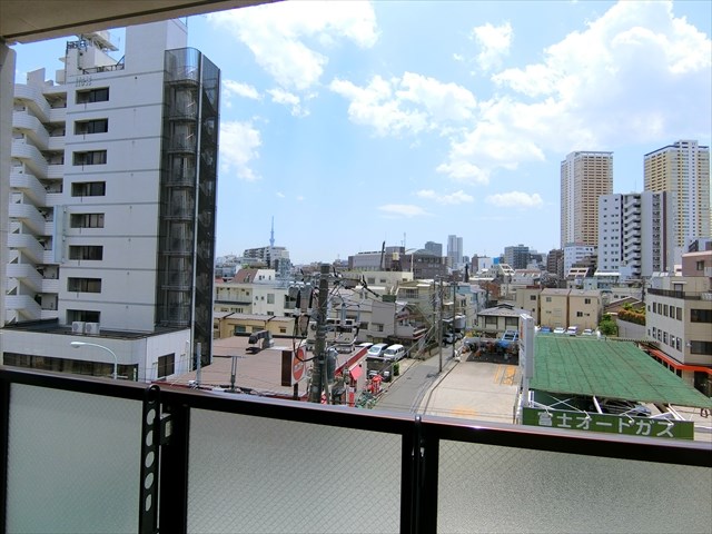 グリーンリーフ　オオツカ   その他7