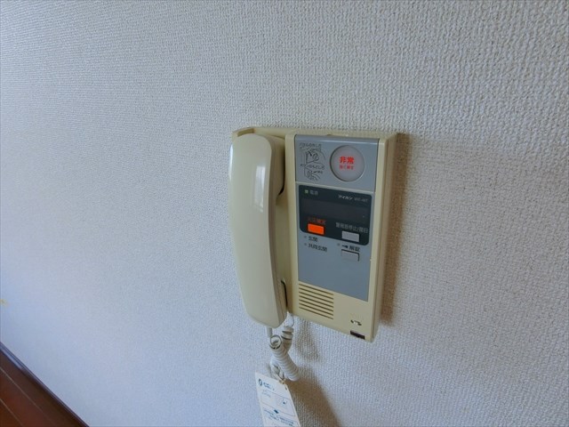 グリーンリーフ　オオツカ   その他9