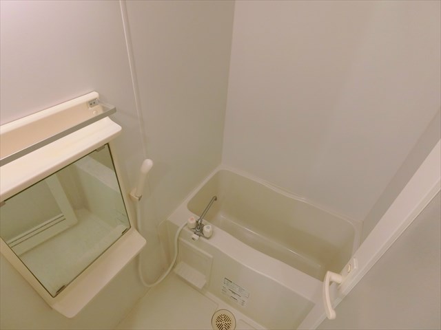 グリーンリーフ　オオツカ   風呂画像