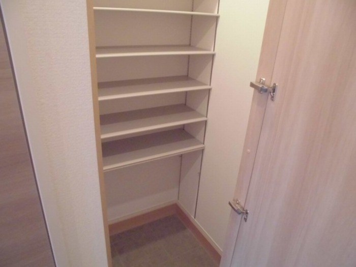 canon　桜  その他3