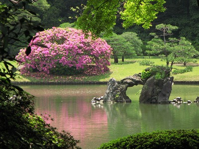 グリーンヒル文京  周辺画像6