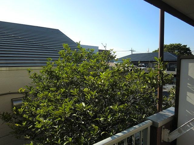 コーポみよし その他2