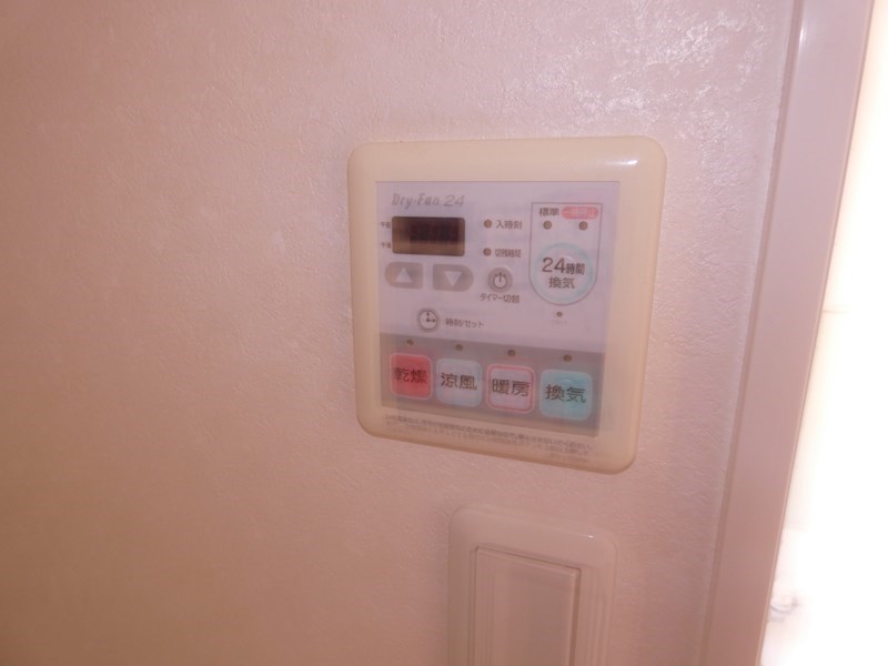 ヴェルドミール  その他10