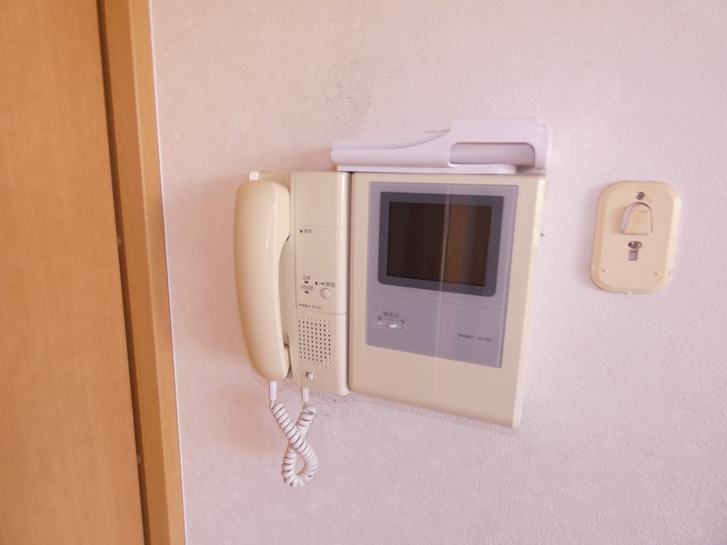 ヴェルドミール  その他11