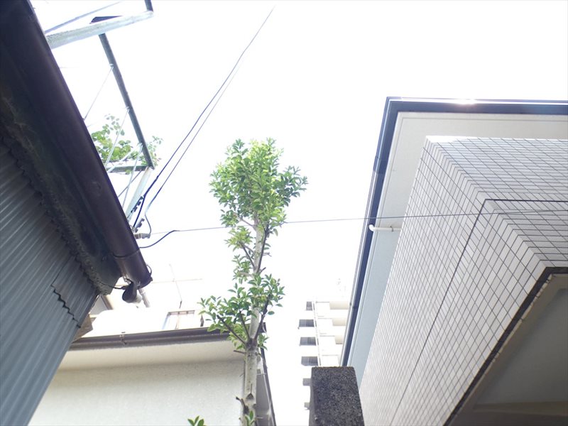 前田荘 その他6