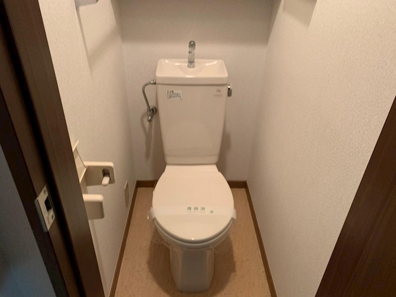 グレース   その他2