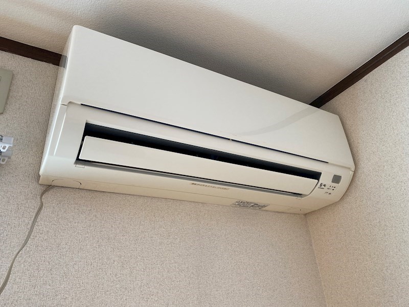 グレース   その他5