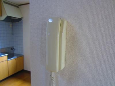 アーバンイズミⅡ その他2