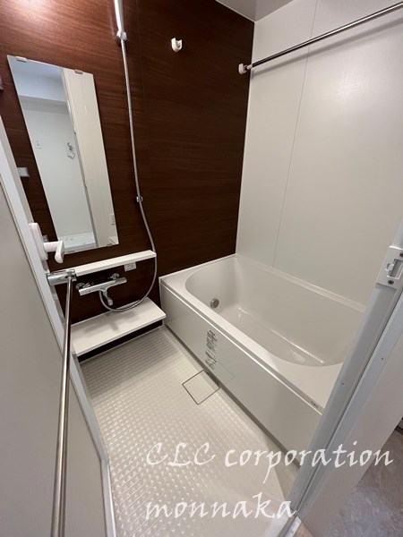 ミレドゥーエ門前仲町 風呂画像