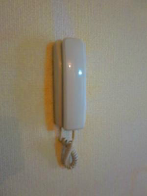 シャインスター その他3