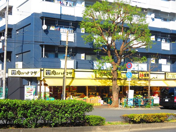 川島ビル 周辺画像9