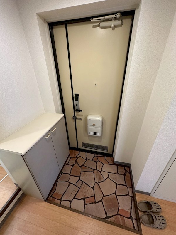 ファミール日之出A棟 玄関