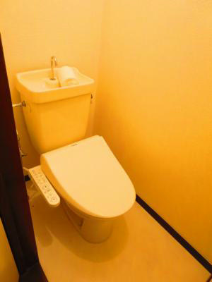 シャインスター その他2