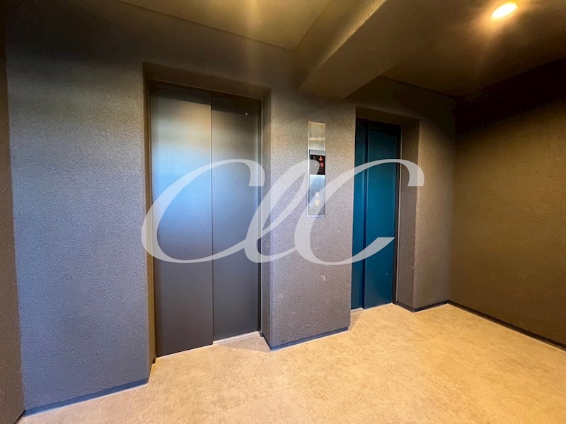 コンフォリア竹ノ塚イースト  その他8