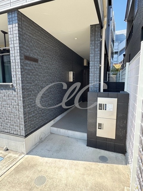 TIZ CARROT その他7