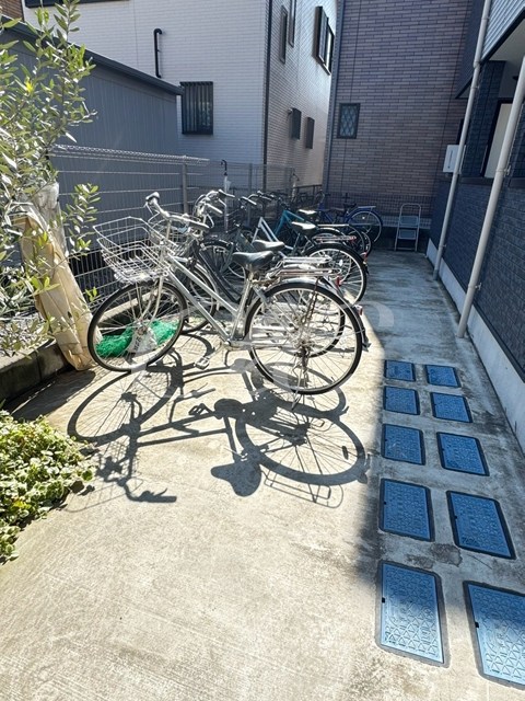 TIZ CARROT その他8