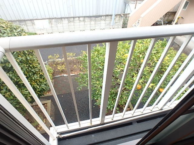 花ハウス2 ベランダ