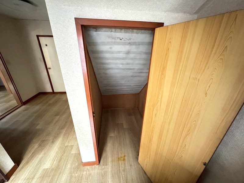 ワンダーハイツ  その他8