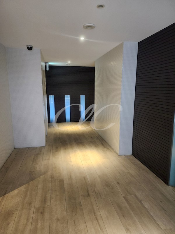 エルスタンザ清澄白河  その他10