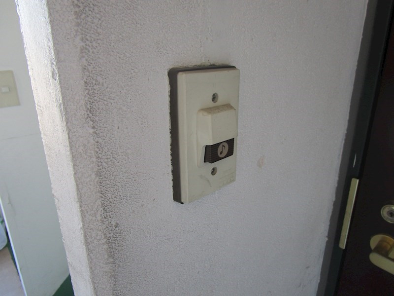 クリークウメダ  その他4